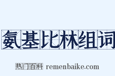 氨基比林组词是什么意思的图片